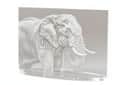 Laser Engraved Acrylic Signage with Wordings or Image view 2