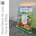 Floating Acrylic Photo Frame (Colourful) view 3