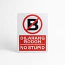 No Stupid Sign (Dilarang Bodoh) | Novelty Prohibition Signage — 1.5mm PVC HIPS view 1